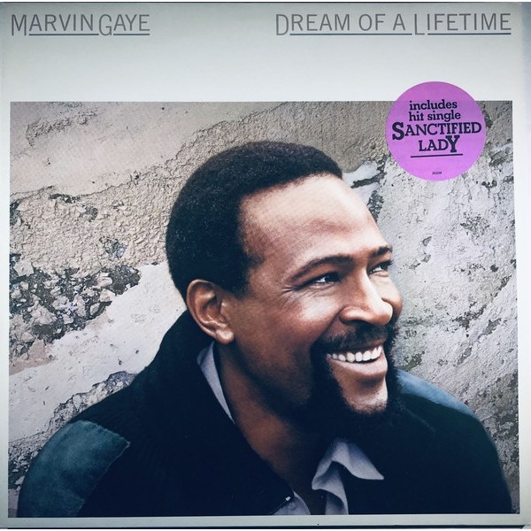 ΒΙΝΥΛΙΟ Marvin Gaye - Dream of a lifetime